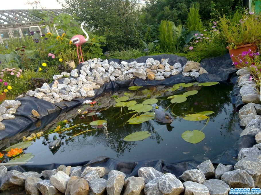 Огородный прудик