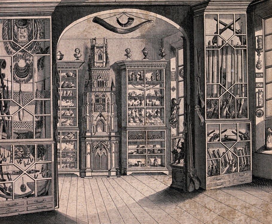 Кабинеты редкостей Патрик Морьес