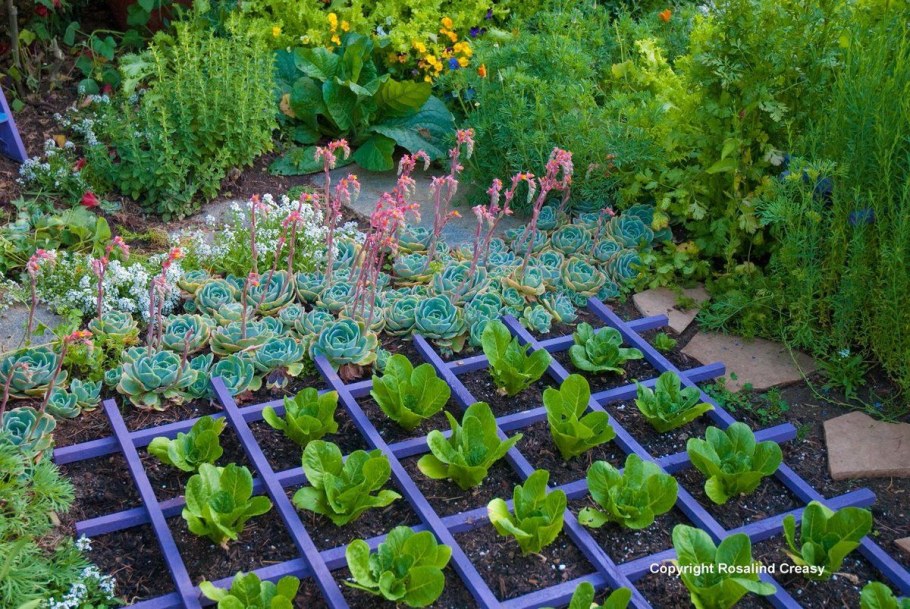 Овощные грядки на даче