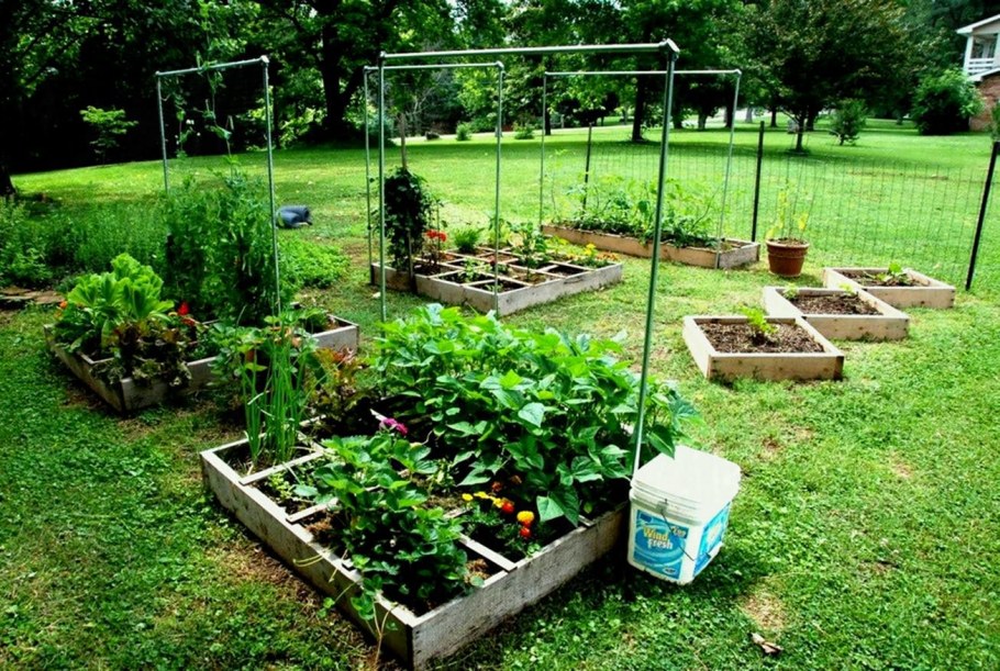 Дача огород сад своими руками