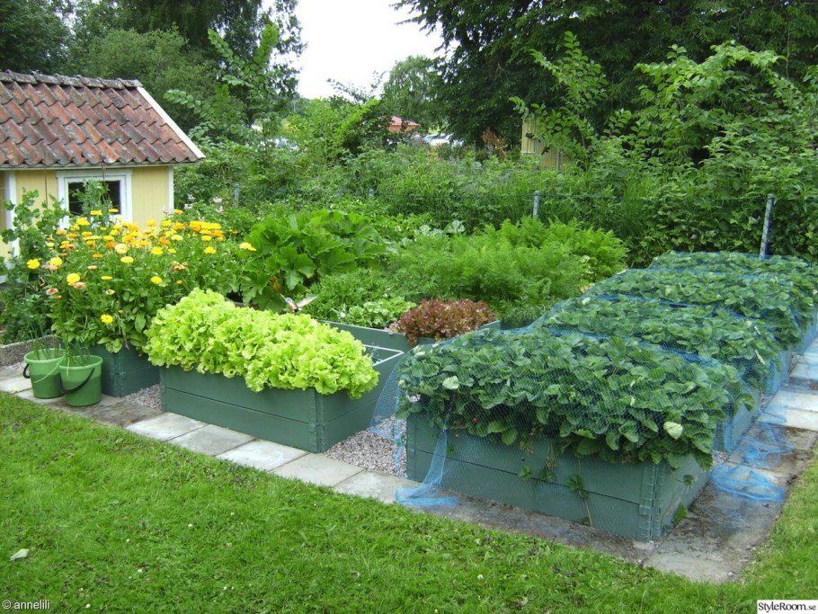 Декоративный огород