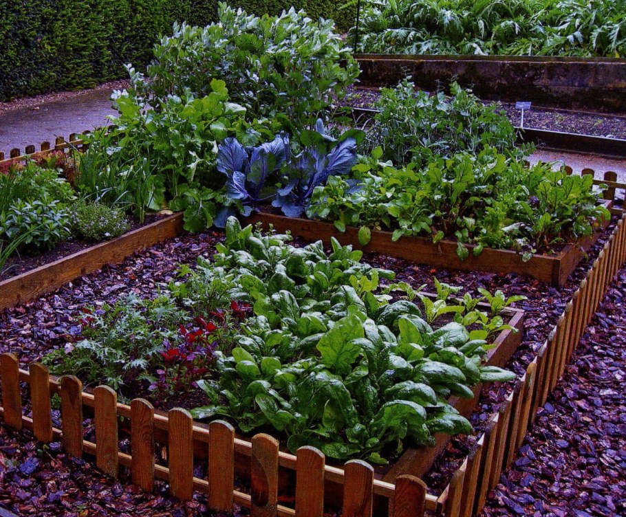 Грядки-клумбы мавританский дворик