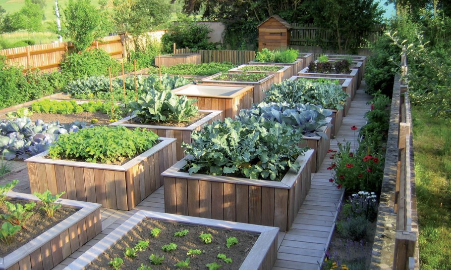 Красивый огород