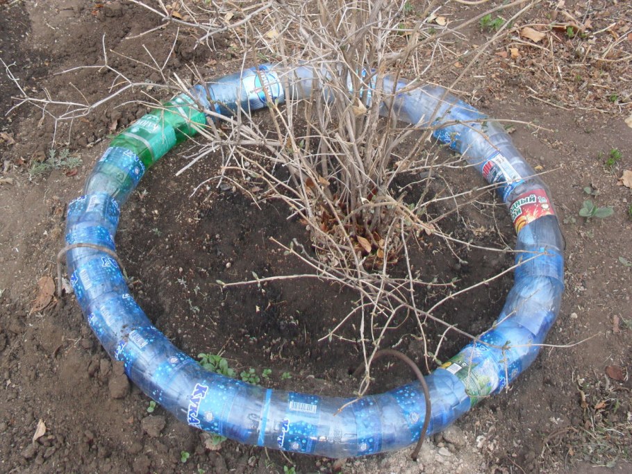 Клумбы из пластиковых бутылок
