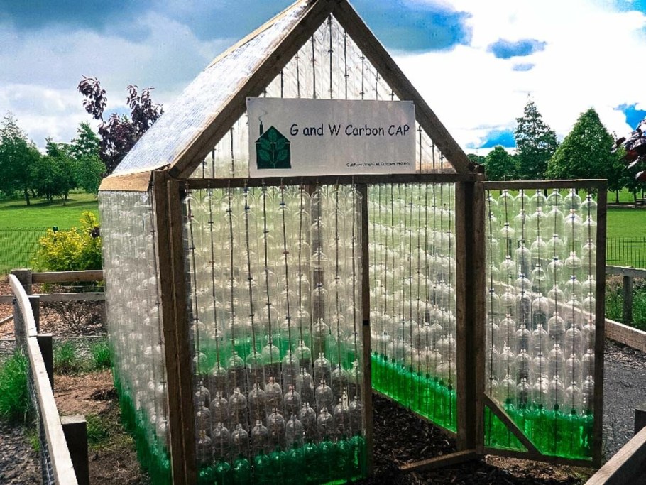 Теплица из 30-литровых ПЭТ кегов