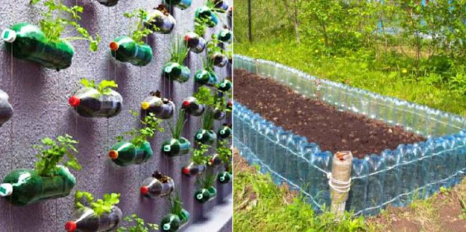 Теплица из пластиковых бутылок для дачи