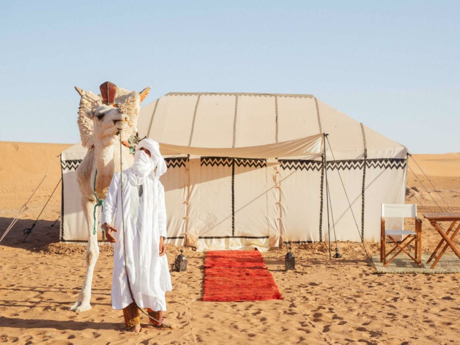 Гостевой дом Арго Учкуевка