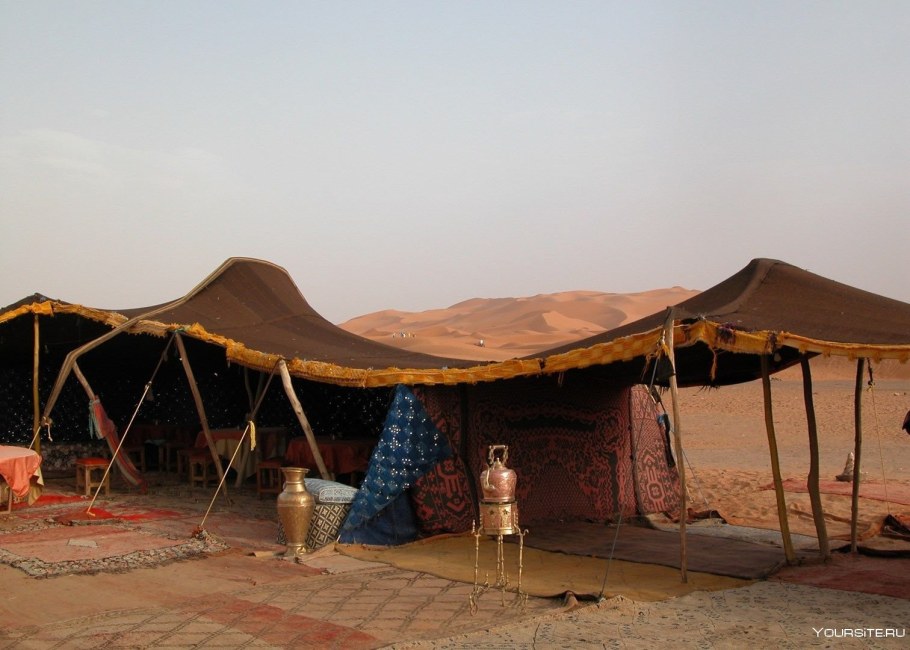 Фелидж жилище бедуинов