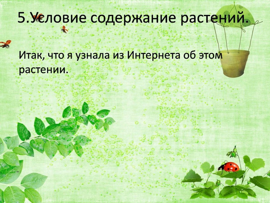 Проект растения в интерьере жилого дома