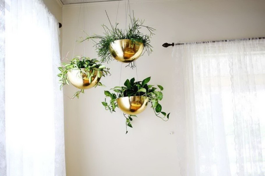 Подвесные растения на потолок