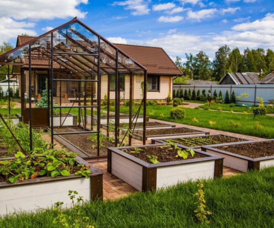 Ива плакучая в ландшафтном