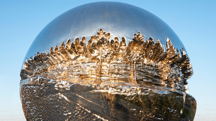 Зеркальная фасолина в Чикаго