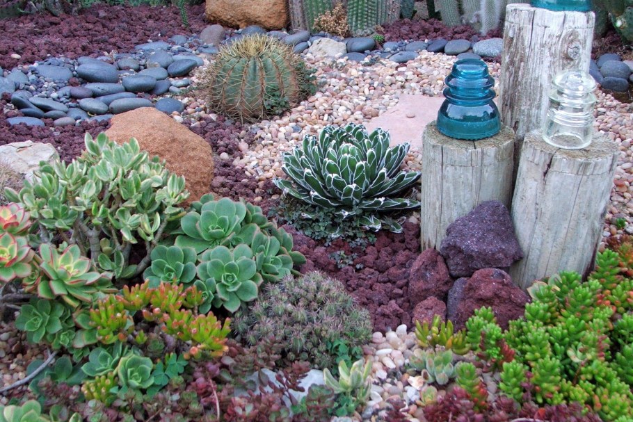 Камнеломки очитки молодило