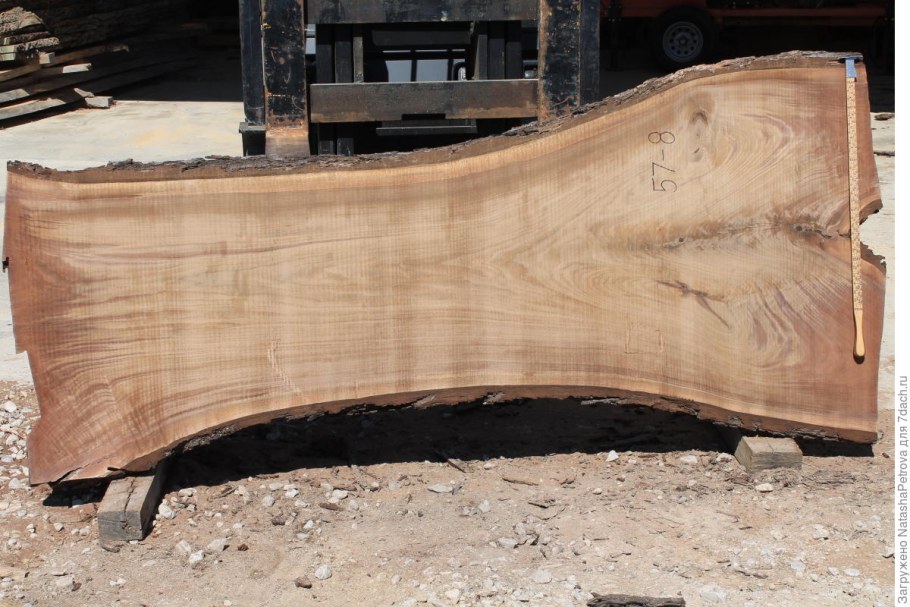 Деревянный спил продольный