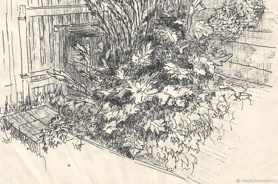 Нарисовать огород