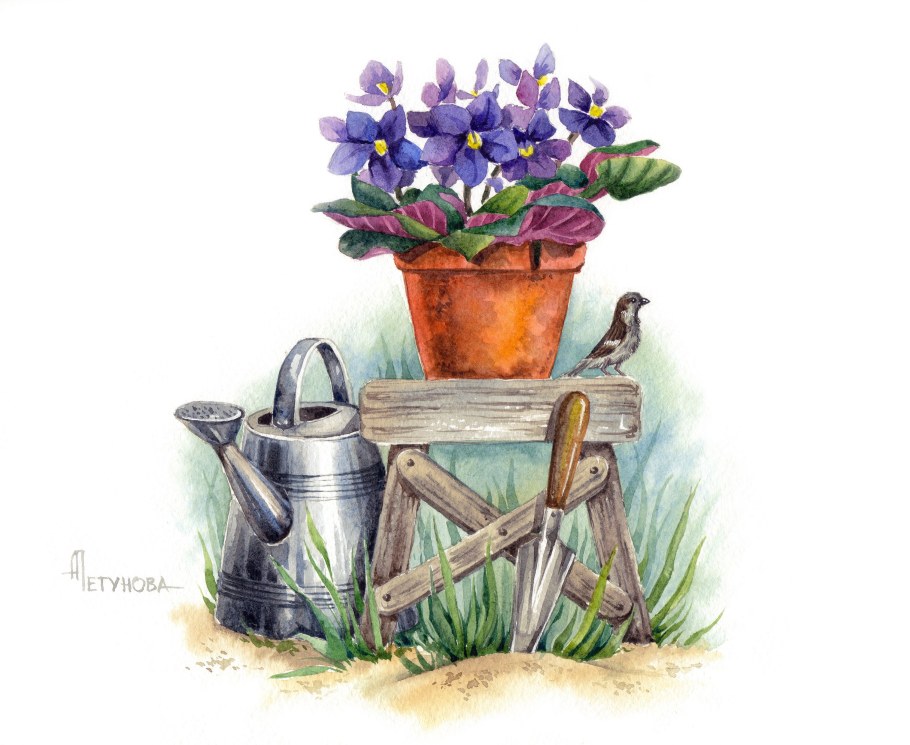 Планировка приусадебного участка