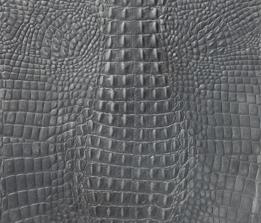 Alphenberg Kaiman кожа