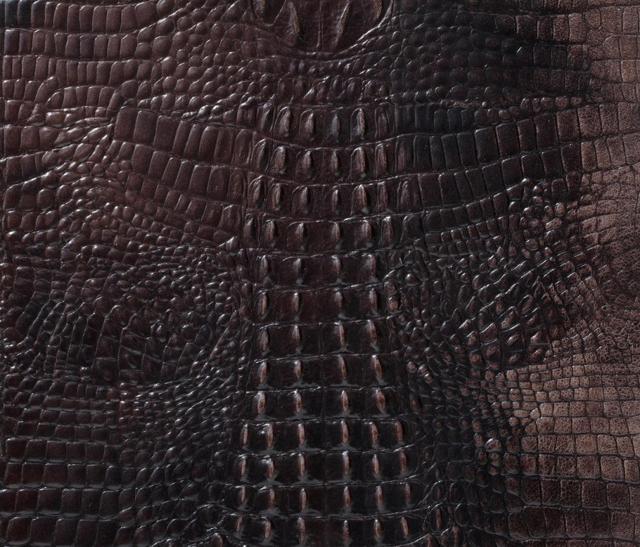 Alphenberg Kaiman кожа