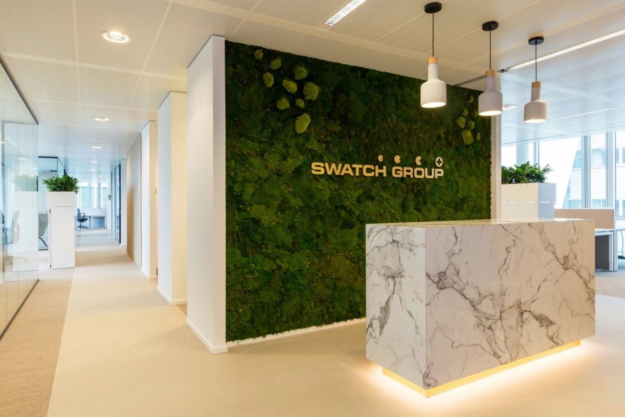 Мох в интерьере салона