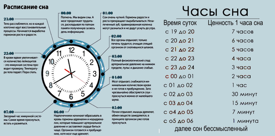 Ценность сна по часам таблица днем