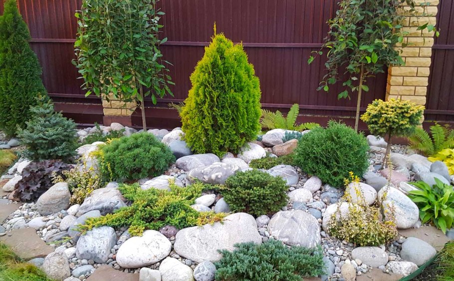 Хвойники вокруг круглого газона