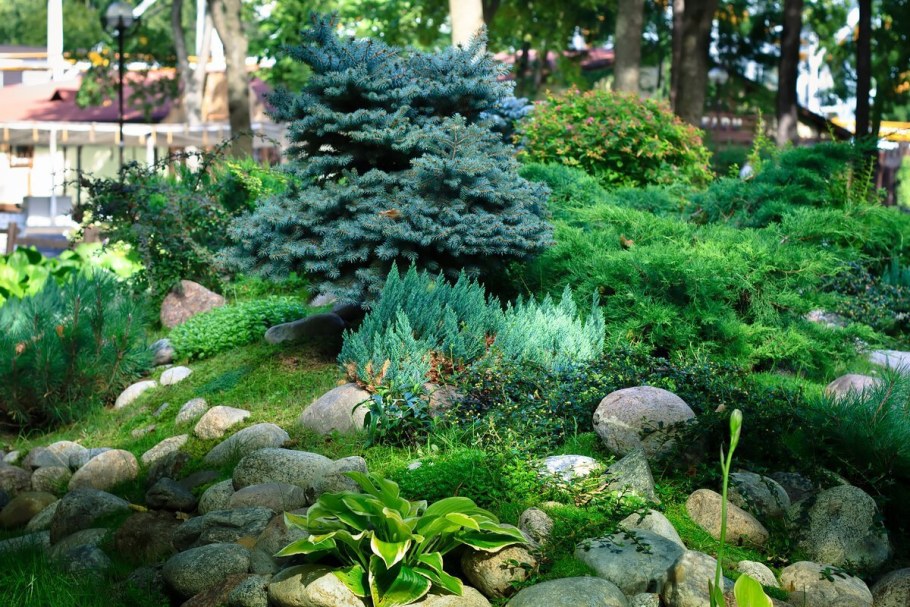 Стрижка елей Владимир Ляпчев