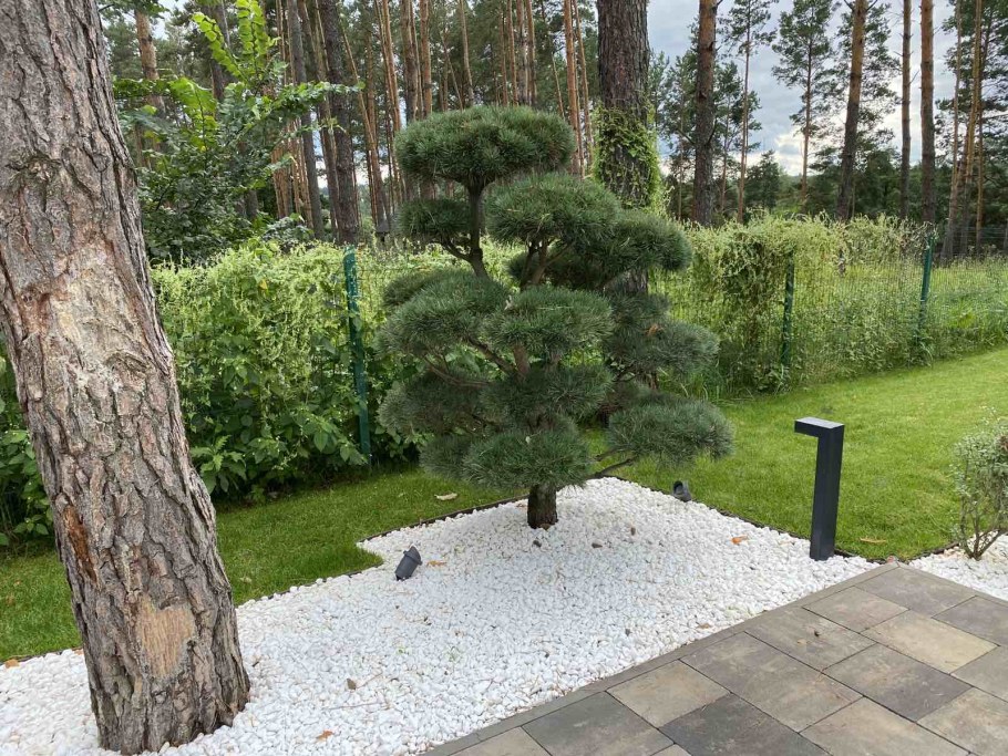 Скандинавские сады в ландшафтном