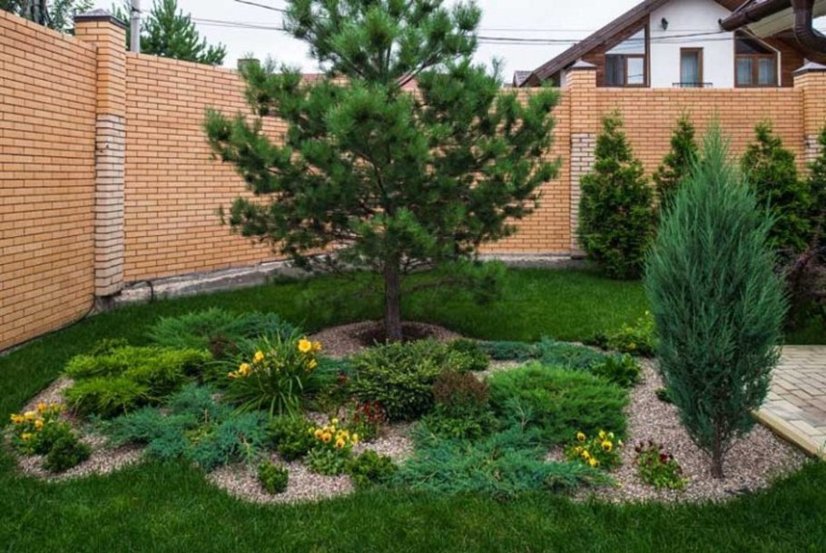 Ель Сибирская в ландшафте