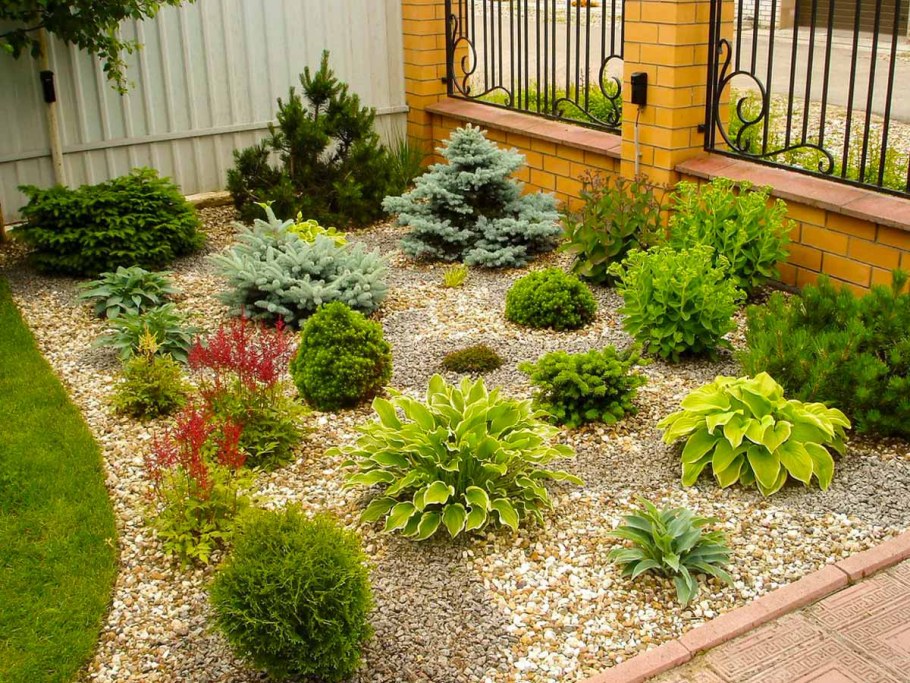 Рокарий с хвойными