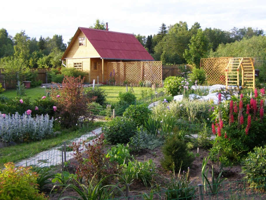 Трава в огороде
