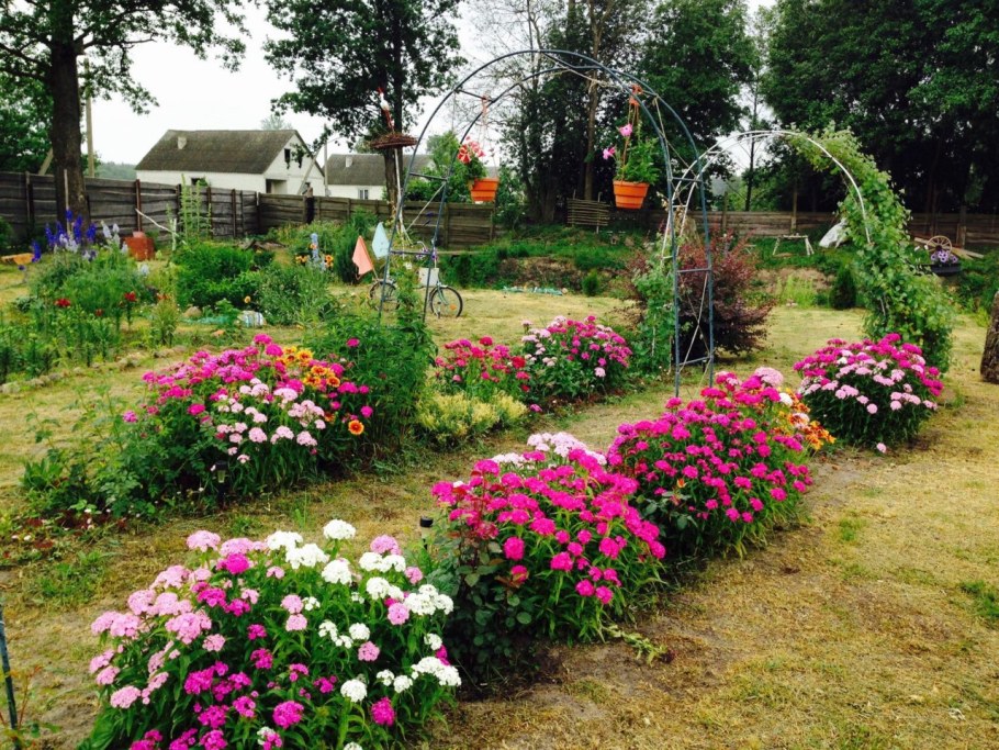 Цветник около бани