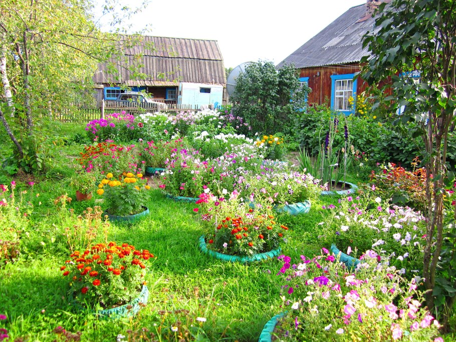 Мой любимый сад и огород