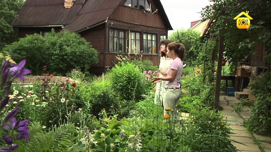 Ландшафтные хитрости