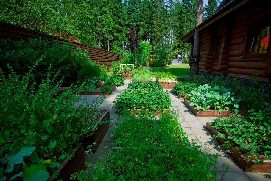 Обустройство сада