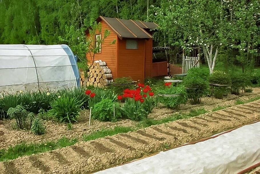 Мой цветник на даче