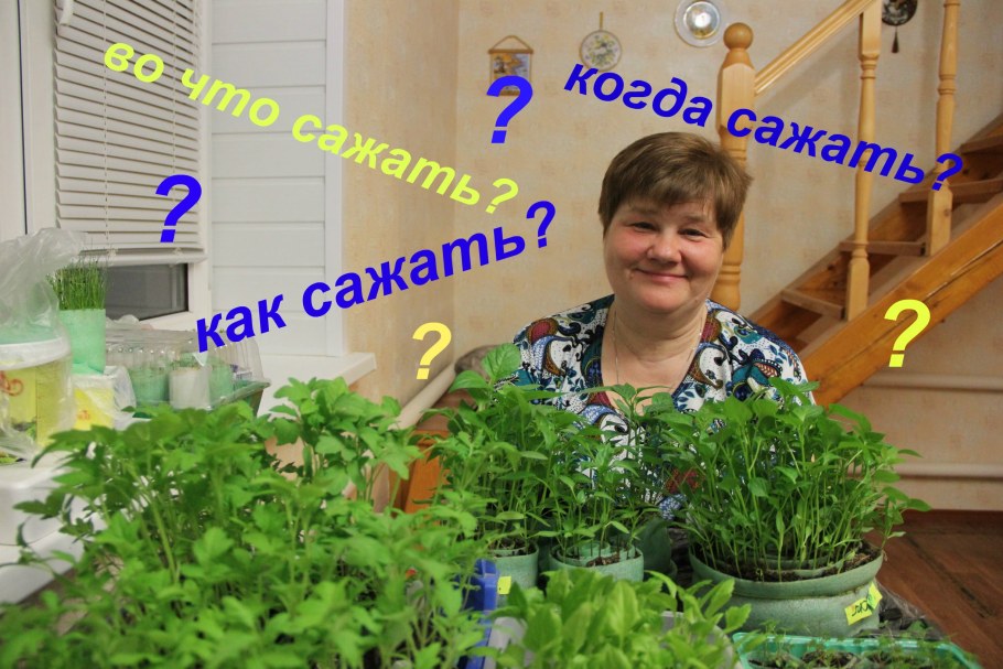 Овощной миксбордер