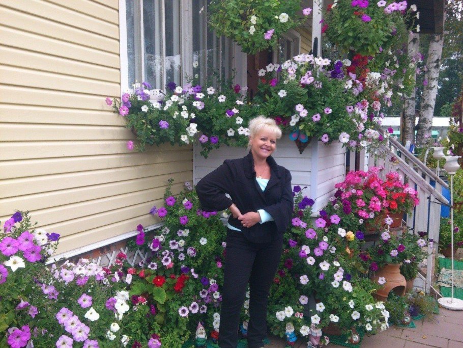 Сибирский палисадник