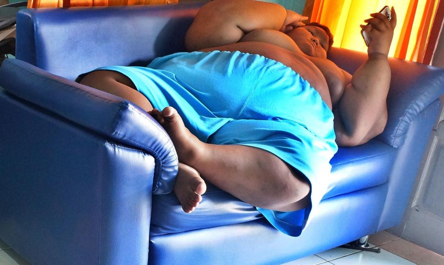 Жирный лежит на диване