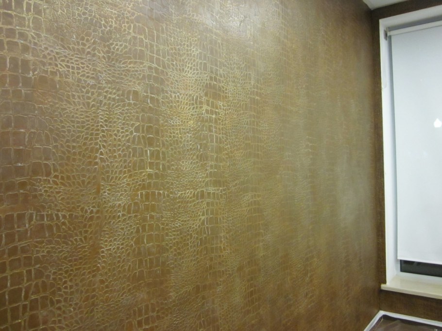 Короед венецианка