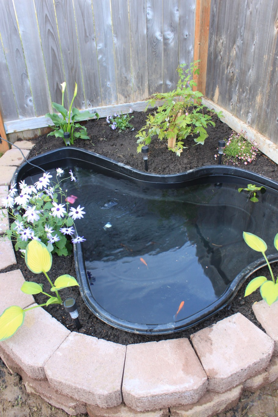 Декоративные садовые водоемы