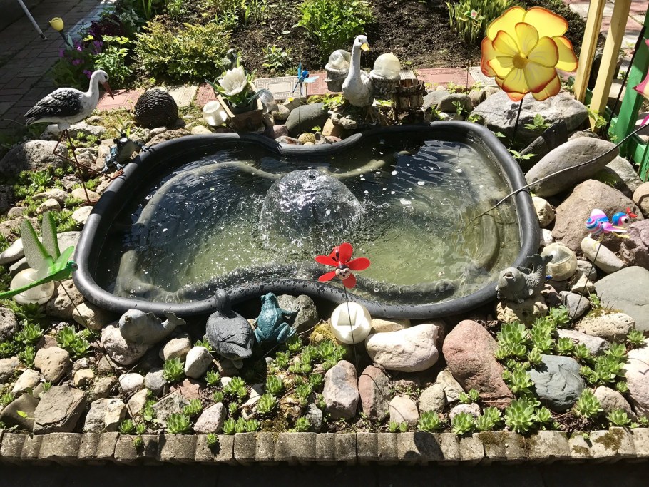 Огородный прудик