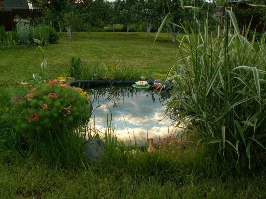 Декоративный бассейн для сада