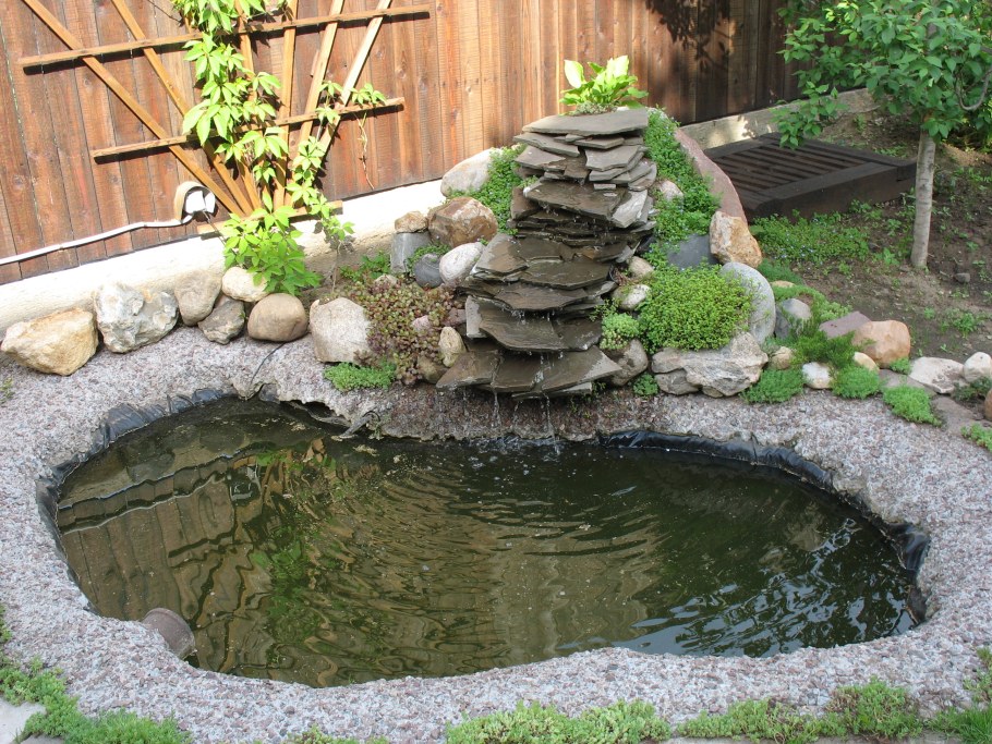 Огородный прудик