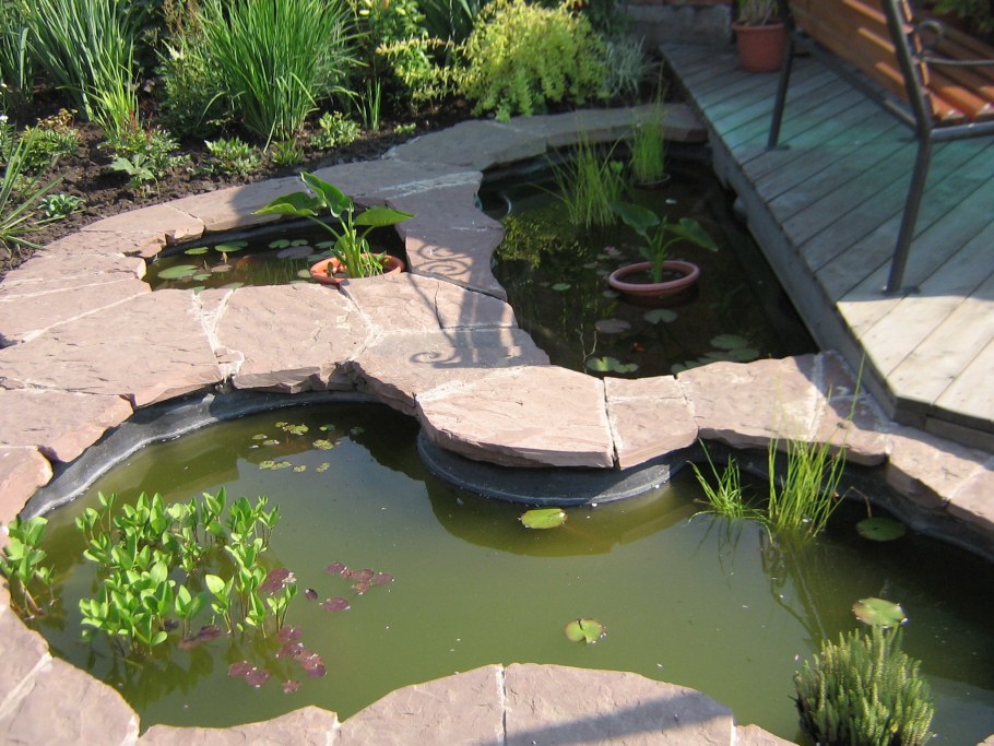 Пластиковый пруд для дачи