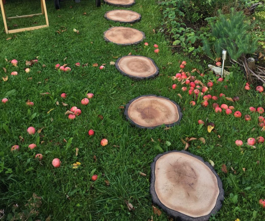 Дорожка в саду из спилов