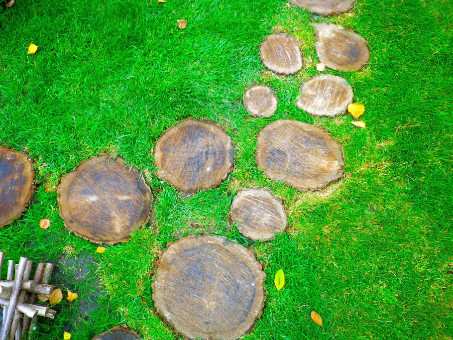 Дорожка из пеньков