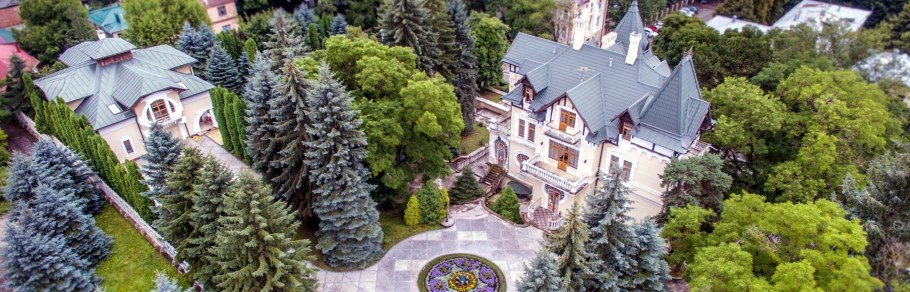 Владимир Алексеевич Брынцалов особняк