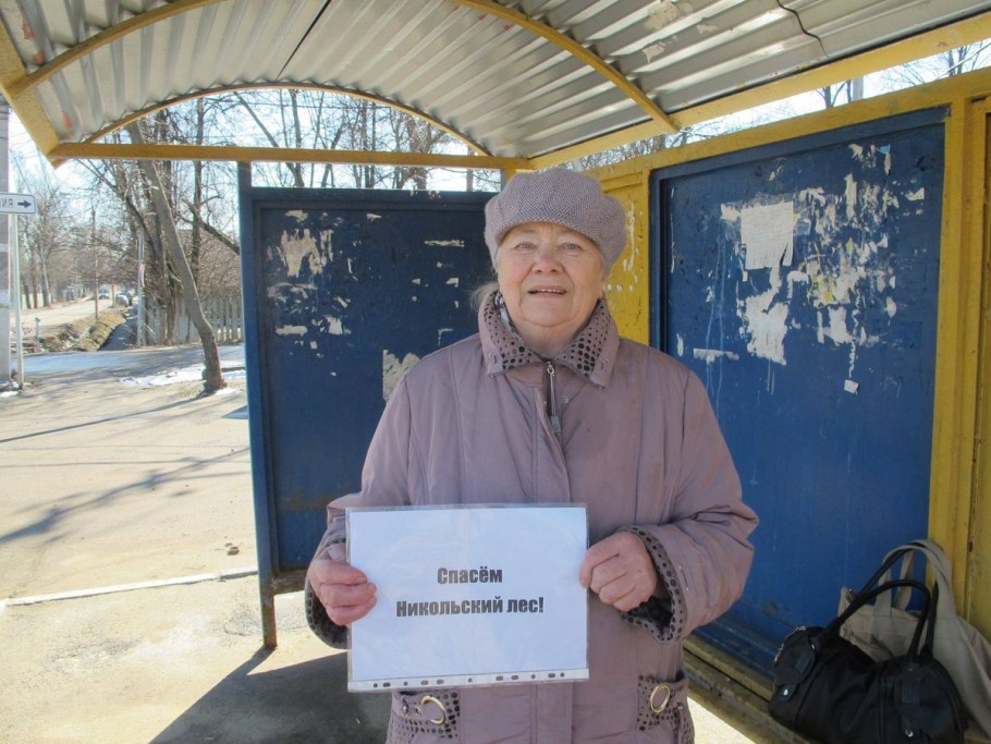 Дом Брынцалова в Салтыковке
