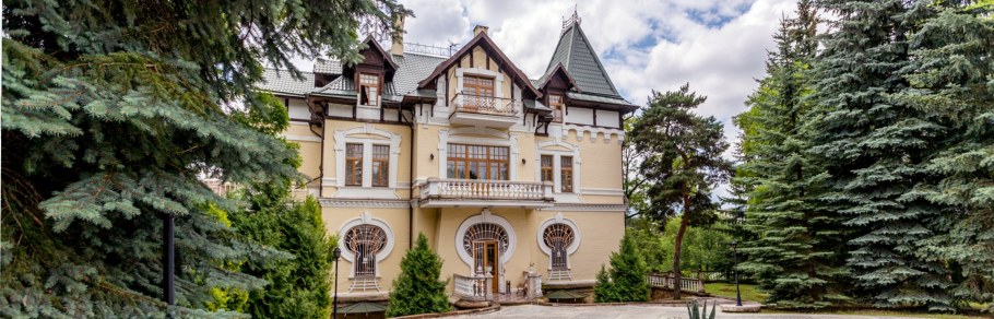 Дворец Брынцалова в Салтыковке