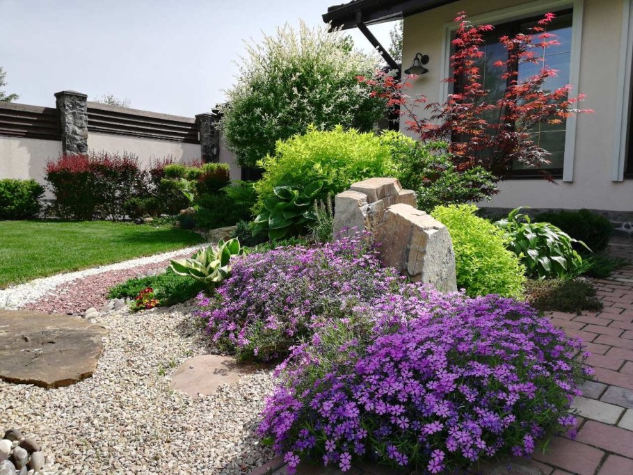 Клумба Мальва дельфиниум Хоста Флоксы рудбекия